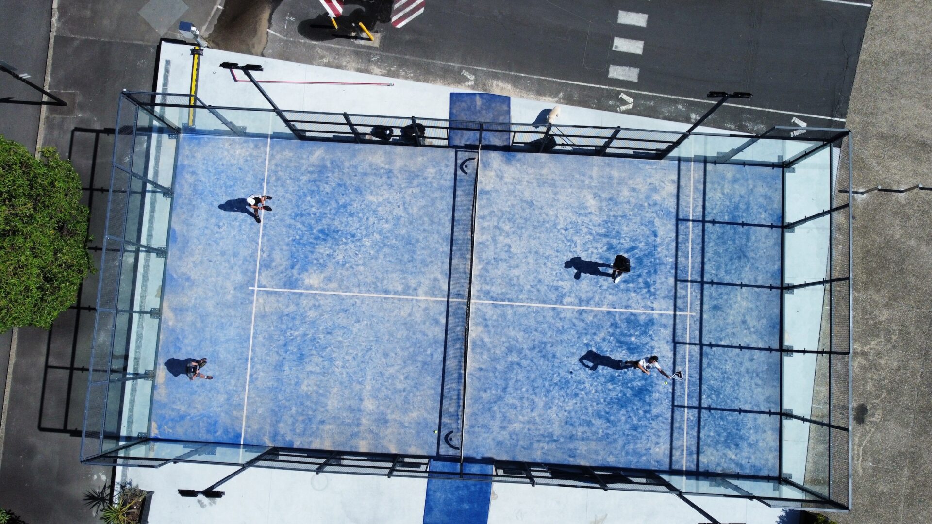 Synthetic Padel Court - Sydney Racquet Club